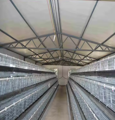 Modern Light Poultry Farm Shed Chicken Coop Design Steel Construction Farm House